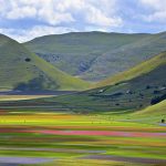 Castelluccio-piana grande