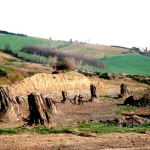 Foresta fossile Dunarobba