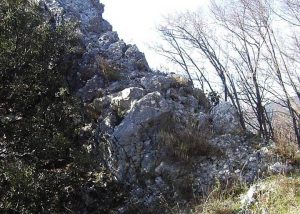 calcare massiccio (sasso rosso)