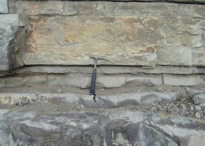 corniola