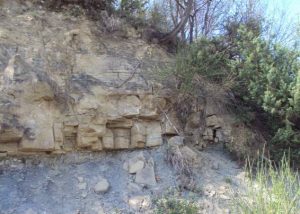 marnoso arenacea